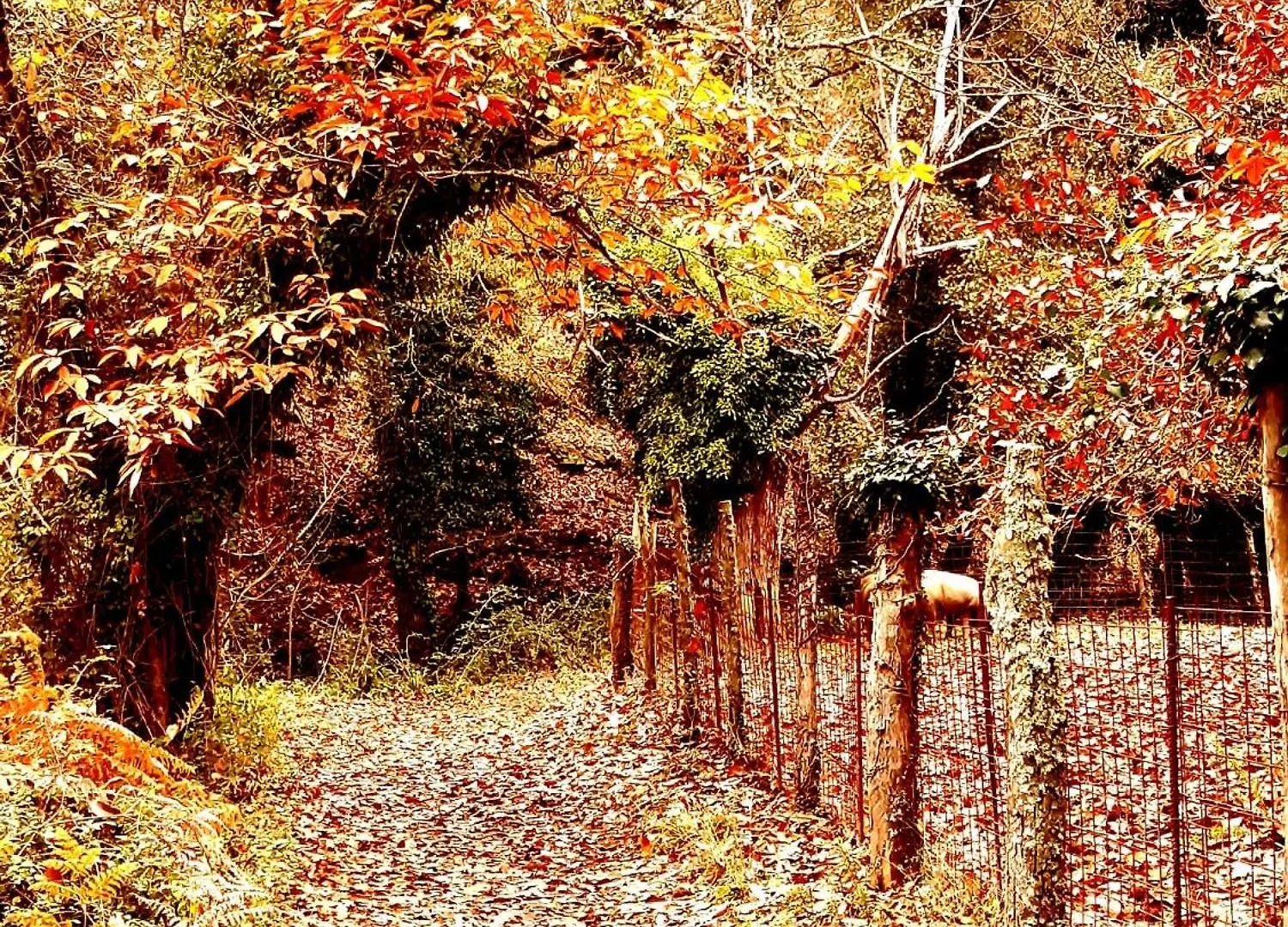 Alojamiento Rural El Castano Fuenteheridos 0*,  Spain