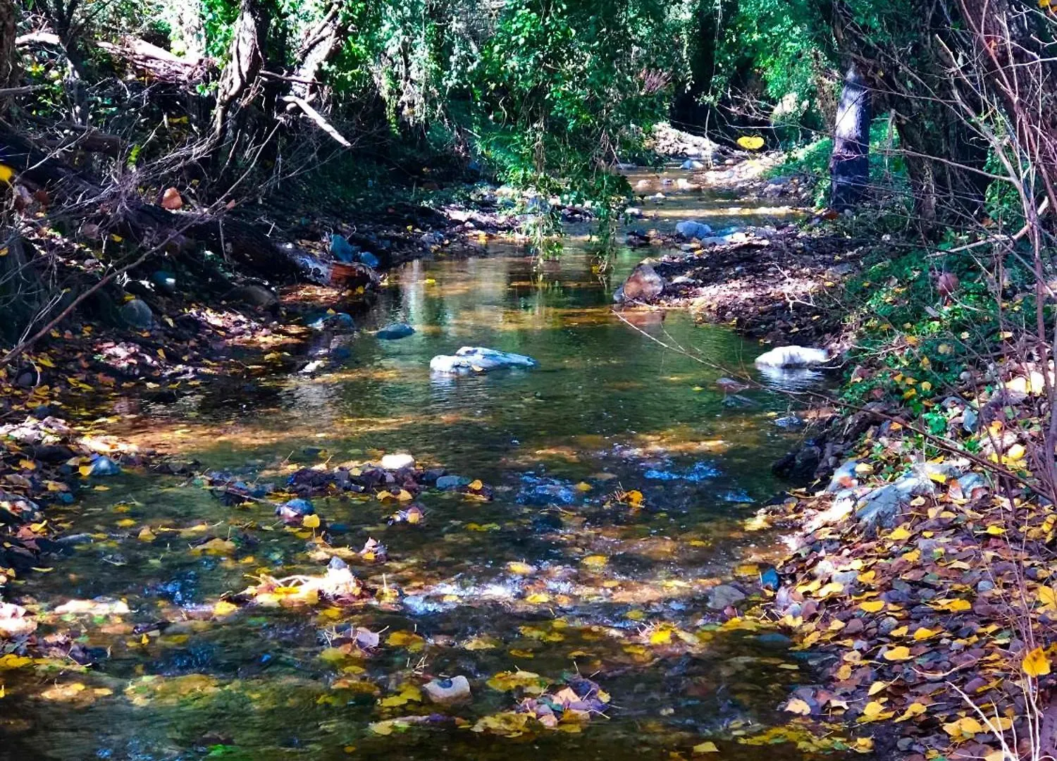 Alojamiento Rural El Castano Fuenteheridos